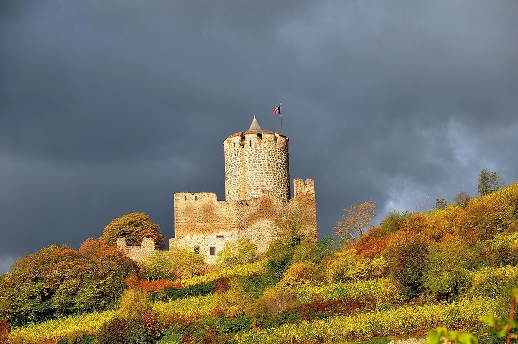 Gite Du Vignoble Ammerschwihr Exterior photo